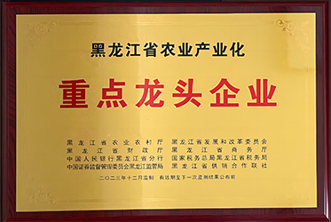 1721184454575269.jpg 首页.jpg